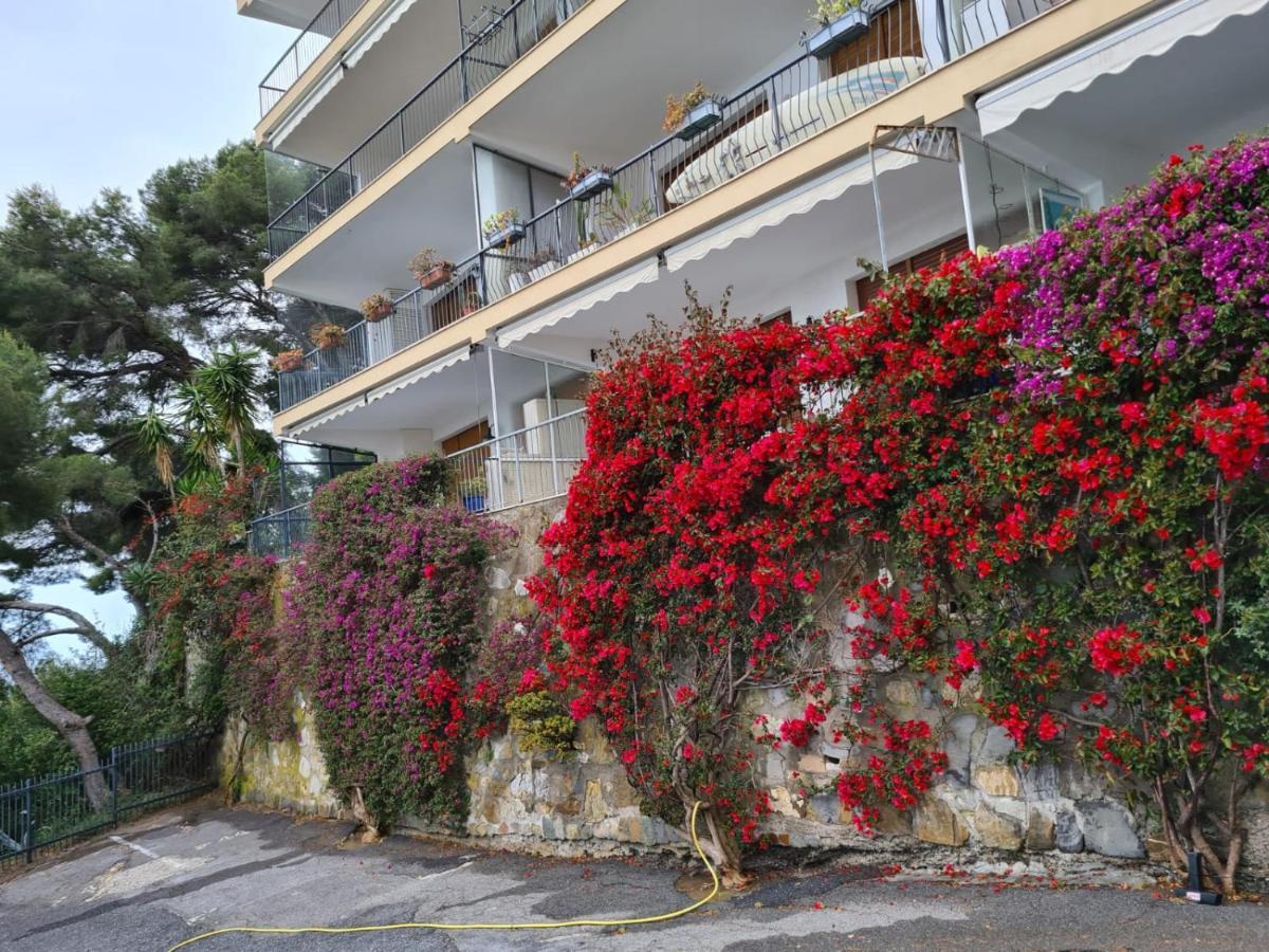 Apartamento Rocce Di Capo Mimosa - Cervo Exterior foto